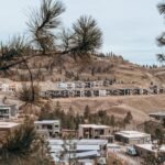 Eco-friendly modern homes at Skaha Hills seen through pine branches.