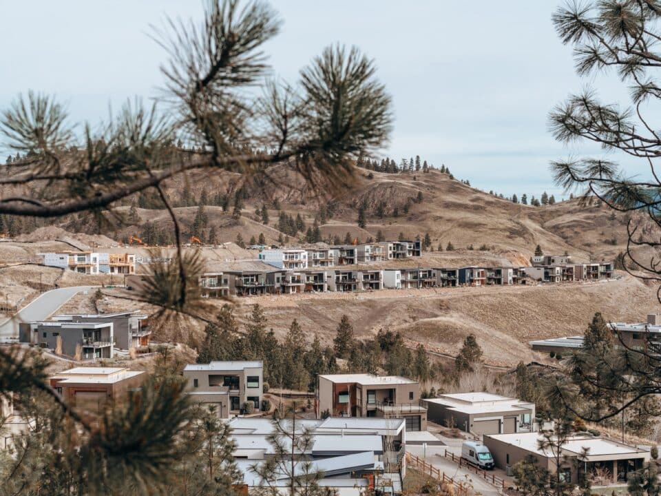 Eco-friendly modern homes at Skaha Hills seen through pine branches.