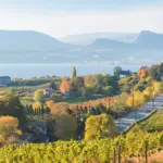 Penticton wineries in the Okanagan Valley near Skaha Lake.